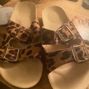 Leopard slides